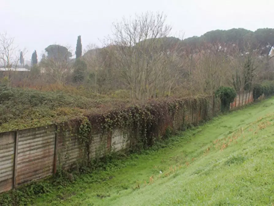 Immagine 3 di Terreno in vendita  in Località Ponte alla Navetta, N. snc a Pontedera