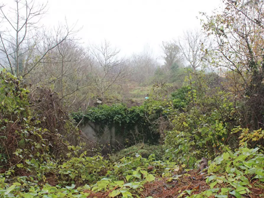 Immagine 4 di Terreno in vendita  in Località Ponte alla Navetta, N. snc a Pontedera