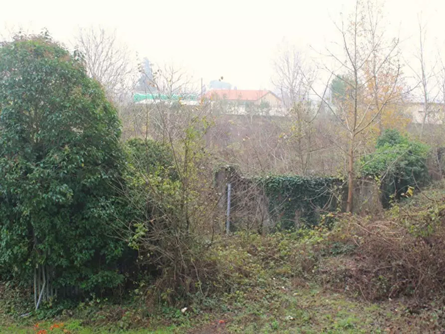 Immagine 5 di Terreno in vendita  in Località Ponte alla Navetta, N. snc a Pontedera