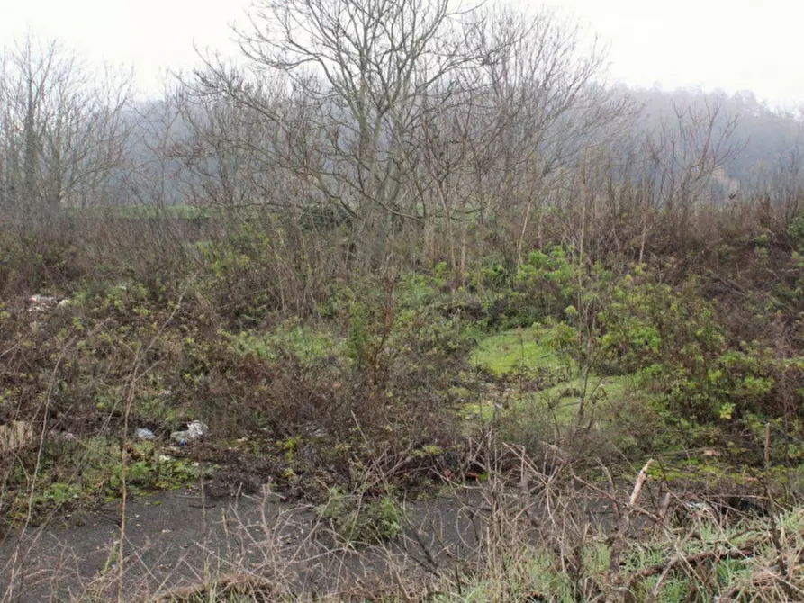 Immagine 6 di Terreno in vendita  in Località Ponte alla Navetta, N. snc a Pontedera