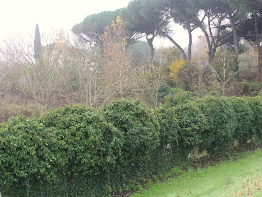 Immagine 8 di Terreno in vendita  in Località Ponte alla Navetta, N. snc a Pontedera