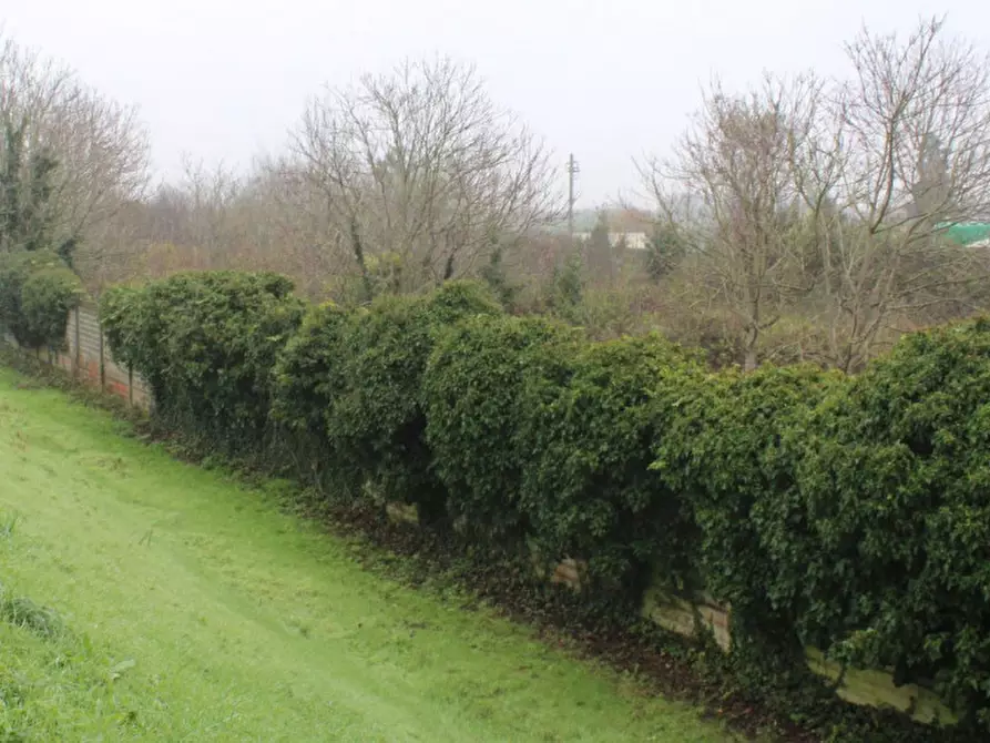 Immagine 9 di Terreno in vendita  in Località Ponte alla Navetta, N. snc a Pontedera