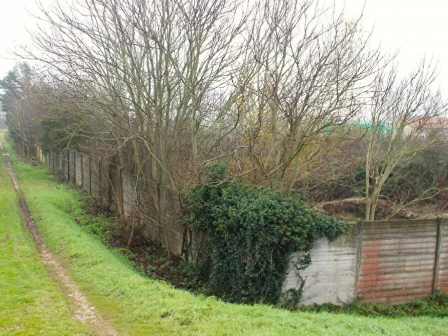 Immagine 10 di Terreno in vendita  in Località Ponte alla Navetta, N. snc a Pontedera