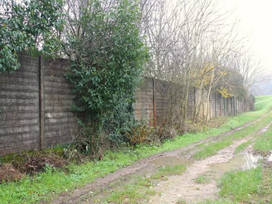 Immagine 11 di Terreno in vendita  in Località Ponte alla Navetta, N. snc a Pontedera