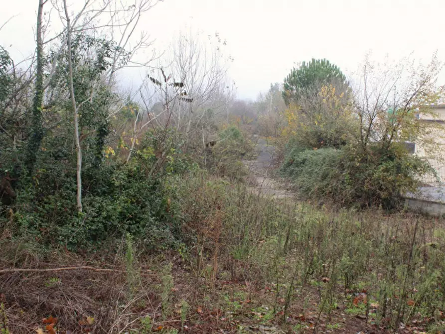 Immagine 12 di Terreno in vendita  in Località Ponte alla Navetta, N. snc a Pontedera