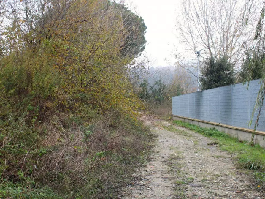 Immagine 13 di Terreno in vendita  in Località Ponte alla Navetta, N. snc a Pontedera