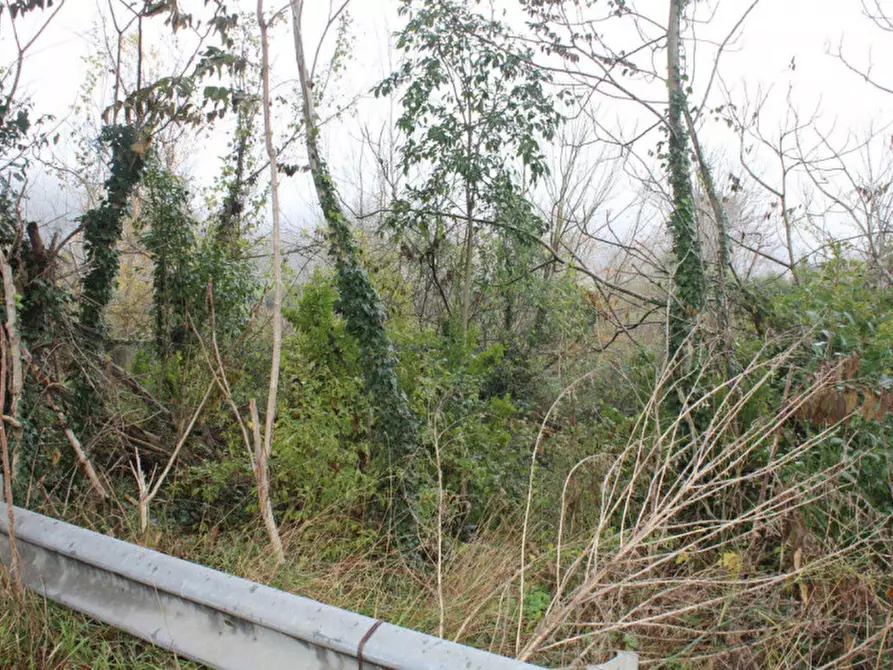 Immagine 14 di Terreno in vendita  in Località Ponte alla Navetta, N. snc a Pontedera