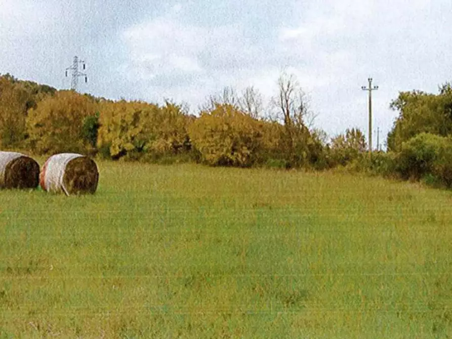 Immagine 6 di Terreno in vendita  in Loc. S. Liberato a Orte