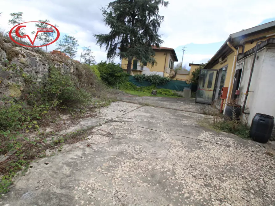 Immagine 6 di Attività commerciale in vendita  in levane a Montevarchi