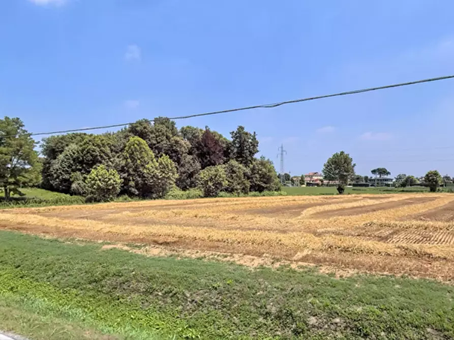Immagine 6 di Terreno in vendita  in Via Navegauro a Bovolenta
