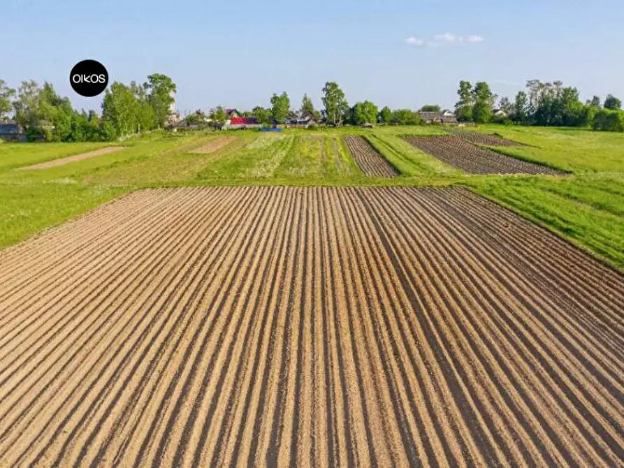 Immagine 1 di Terreno in vendita  a Campolongo Maggiore