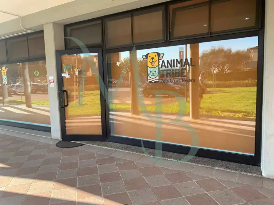 Immagine 1 di Negozio in affitto  in Via Armando Diaz a Vigonza