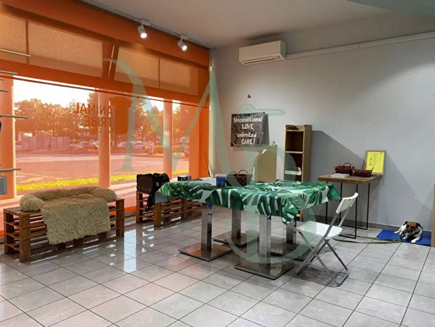 Immagine 4 di Negozio in affitto  in Via Armando Diaz a Vigonza