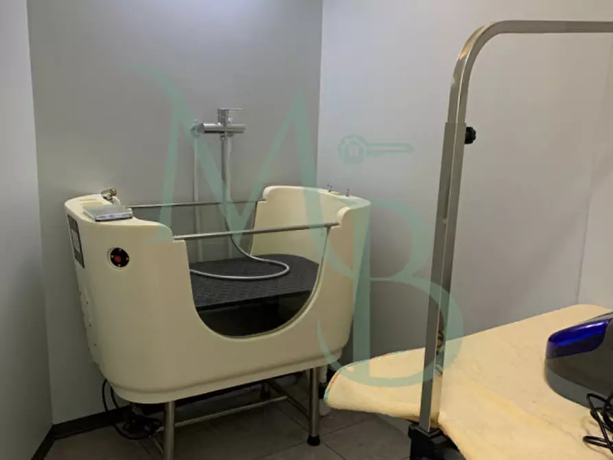 Immagine 15 di Negozio in affitto  in Via Armando Diaz a Vigonza