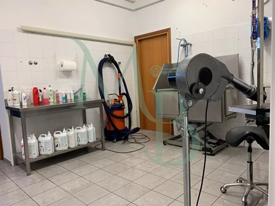 Immagine 16 di Negozio in affitto  in Via Armando Diaz a Vigonza