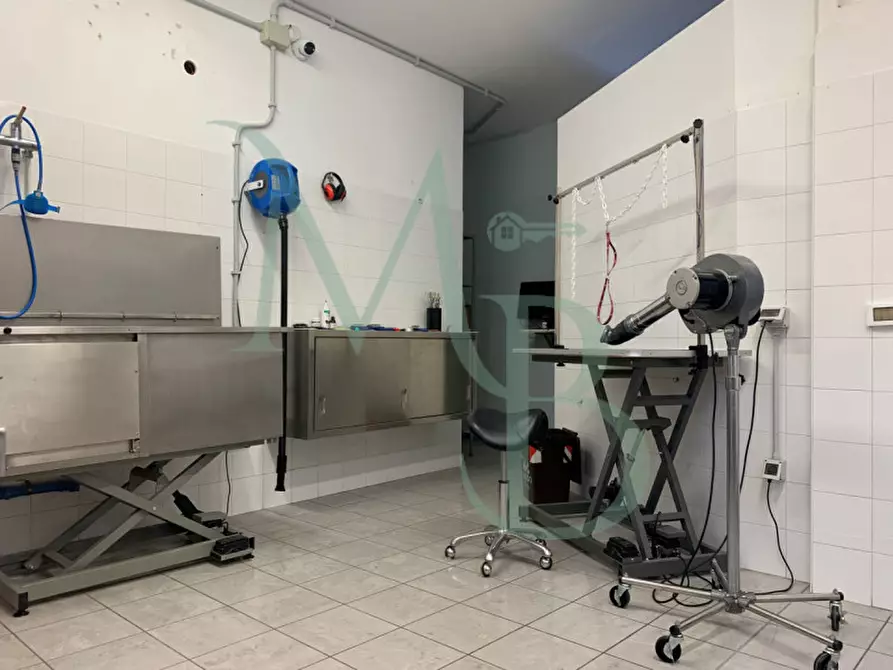 Immagine 18 di Negozio in affitto  in Via Armando Diaz a Vigonza