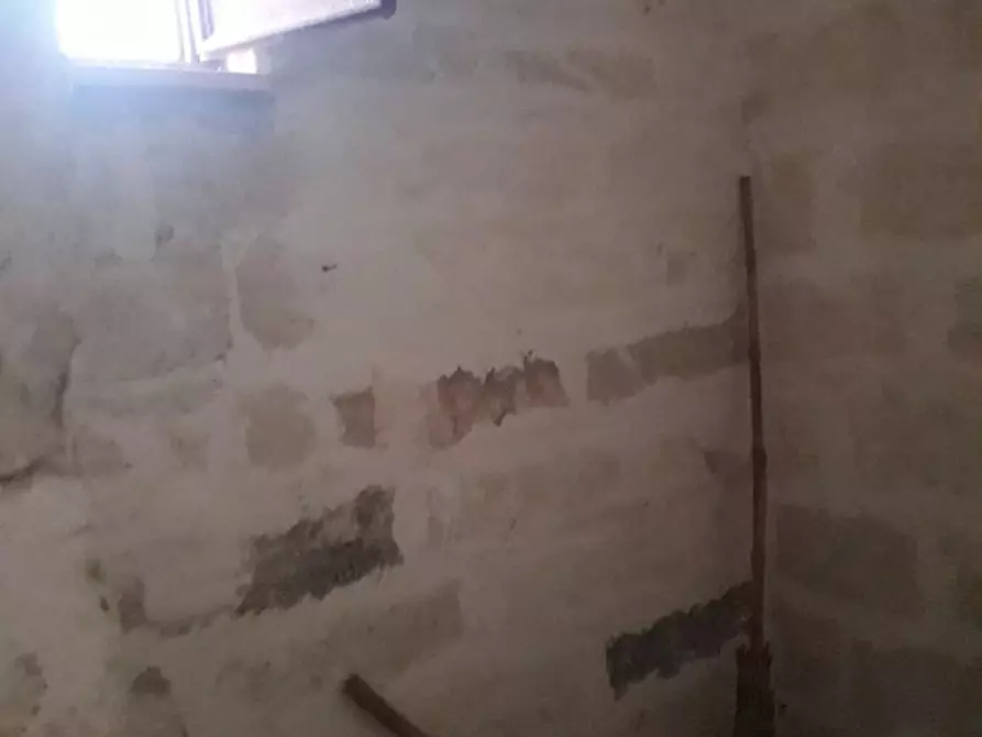 Immagine 5 di Rustico / casale in vendita  in C.da Colacavallo a Carovigno