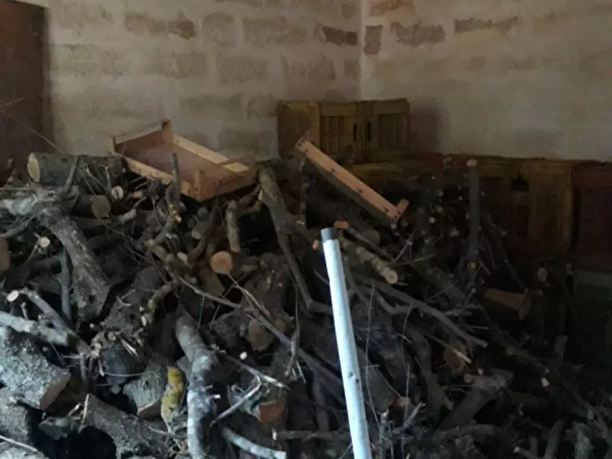 Immagine 11 di Rustico / casale in vendita  in C.da Colacavallo a Carovigno