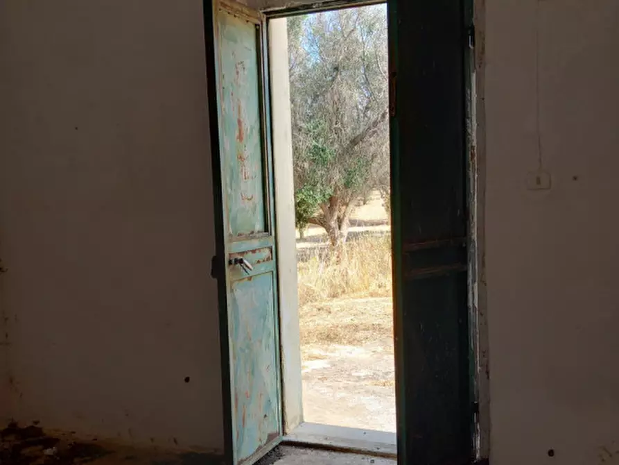 Immagine 5 di Rustico / casale in vendita  in C.da Malpasso a San Vito Dei Normanni
