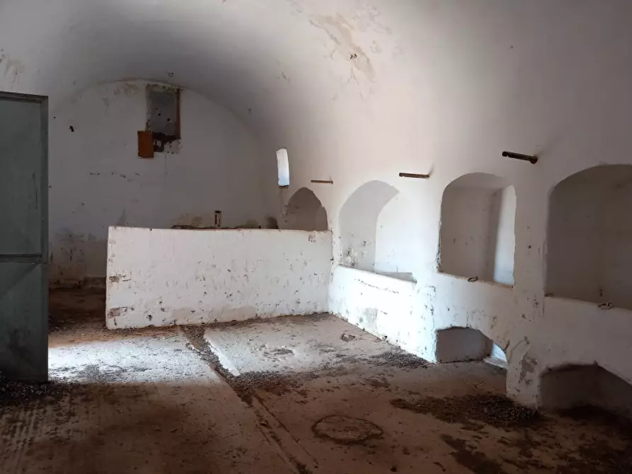 Immagine 6 di Rustico / casale in vendita  in C.da Malpasso a San Vito Dei Normanni