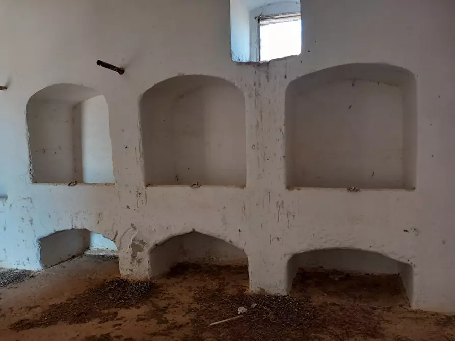 Immagine 7 di Rustico / casale in vendita  in C.da Malpasso a San Vito Dei Normanni