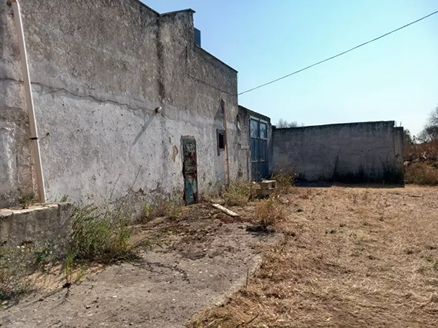 Immagine 9 di Rustico / casale in vendita  in C.da Malpasso a San Vito Dei Normanni