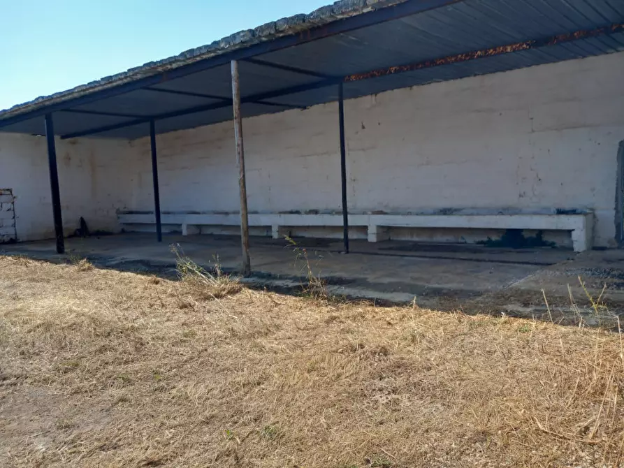 Immagine 10 di Rustico / casale in vendita  in C.da Malpasso a San Vito Dei Normanni