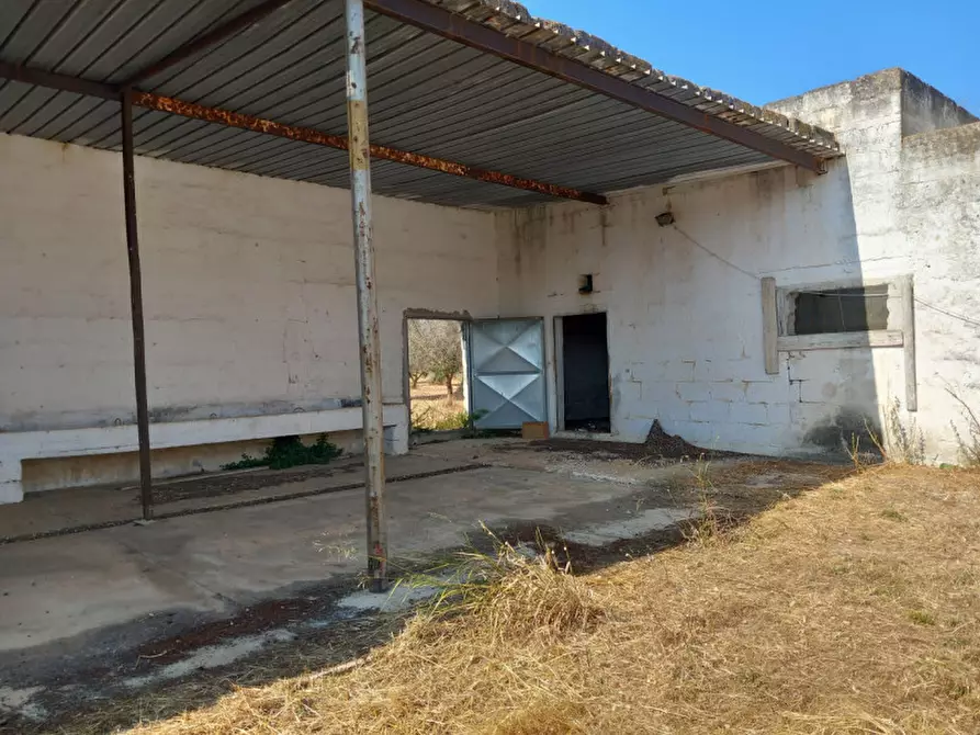 Immagine 12 di Rustico / casale in vendita  in C.da Malpasso a San Vito Dei Normanni