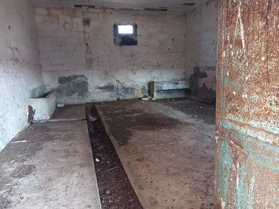 Immagine 13 di Rustico / casale in vendita  in C.da Malpasso a San Vito Dei Normanni