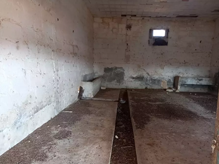Immagine 14 di Rustico / casale in vendita  in C.da Malpasso a San Vito Dei Normanni