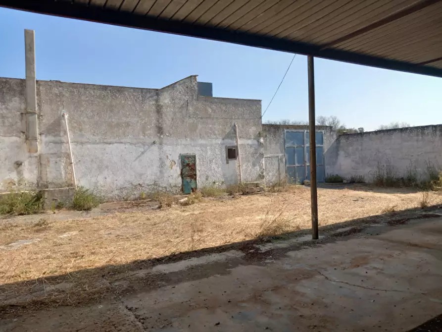 Immagine 17 di Rustico / casale in vendita  in C.da Malpasso a San Vito Dei Normanni