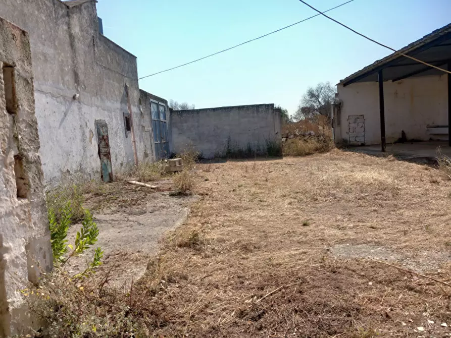 Immagine 19 di Rustico / casale in vendita  in C.da Malpasso a San Vito Dei Normanni