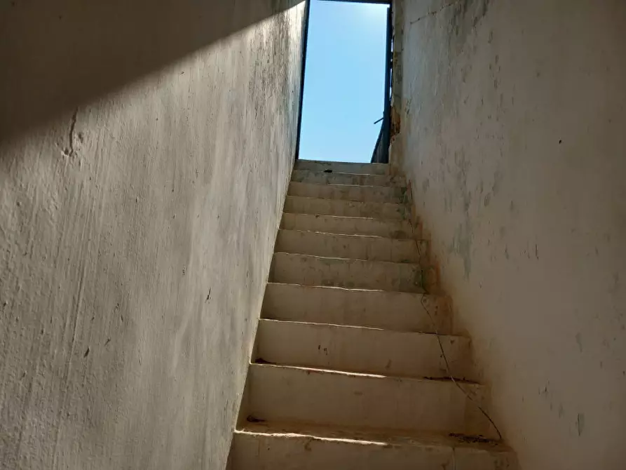 Immagine 31 di Rustico / casale in vendita  in C.da Malpasso a San Vito Dei Normanni