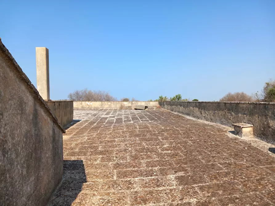 Immagine 32 di Rustico / casale in vendita  in C.da Malpasso a San Vito Dei Normanni