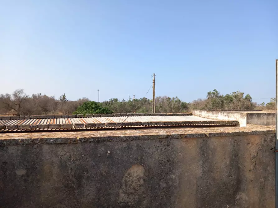 Immagine 33 di Rustico / casale in vendita  in C.da Malpasso a San Vito Dei Normanni