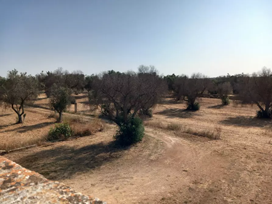 Immagine 34 di Rustico / casale in vendita  in C.da Malpasso a San Vito Dei Normanni
