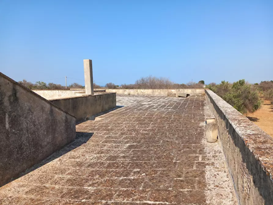 Immagine 35 di Rustico / casale in vendita  in C.da Malpasso a San Vito Dei Normanni