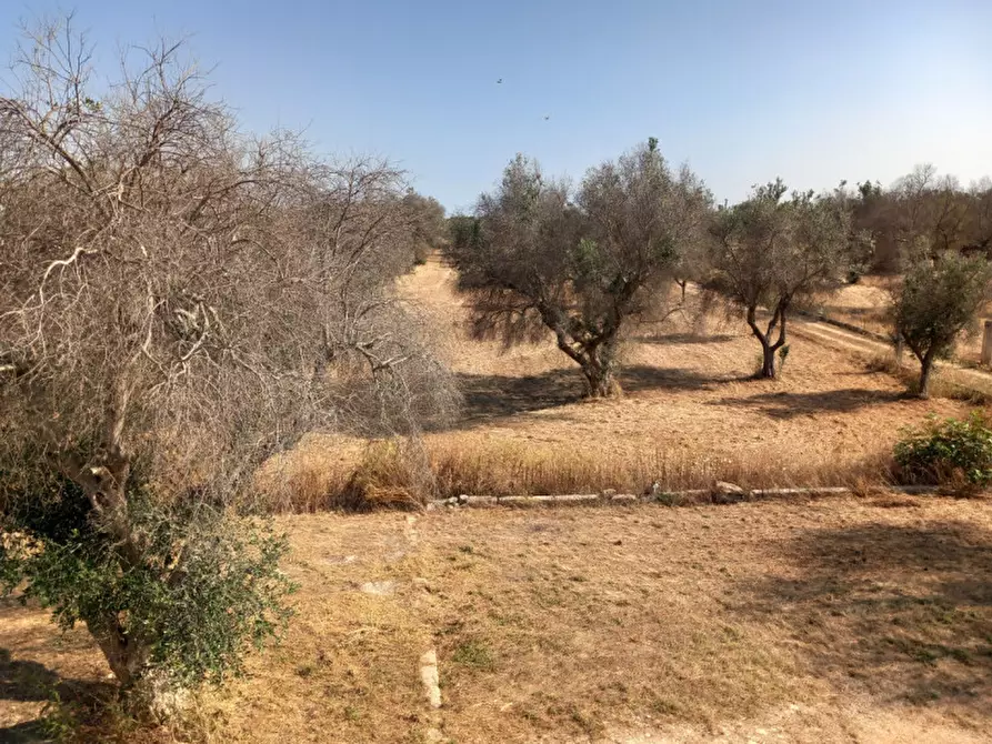 Immagine 36 di Rustico / casale in vendita  in C.da Malpasso a San Vito Dei Normanni