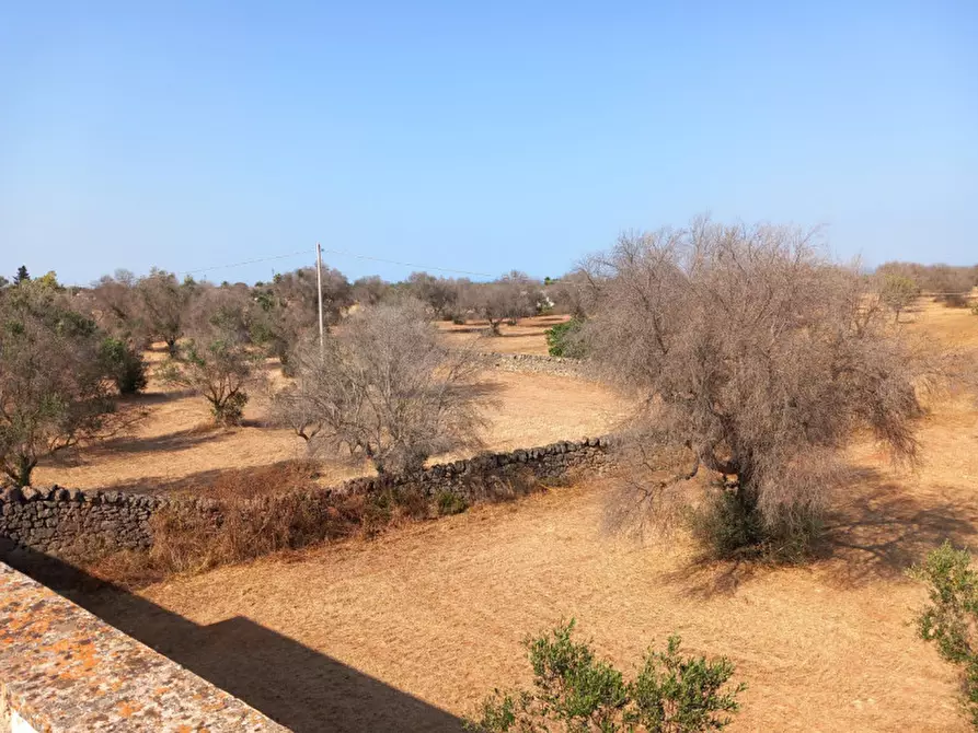 Immagine 39 di Rustico / casale in vendita  in C.da Malpasso a San Vito Dei Normanni