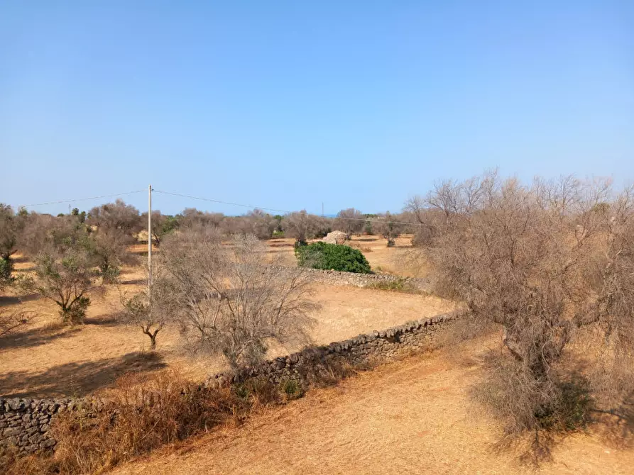Immagine 41 di Rustico / casale in vendita  in C.da Malpasso a San Vito Dei Normanni