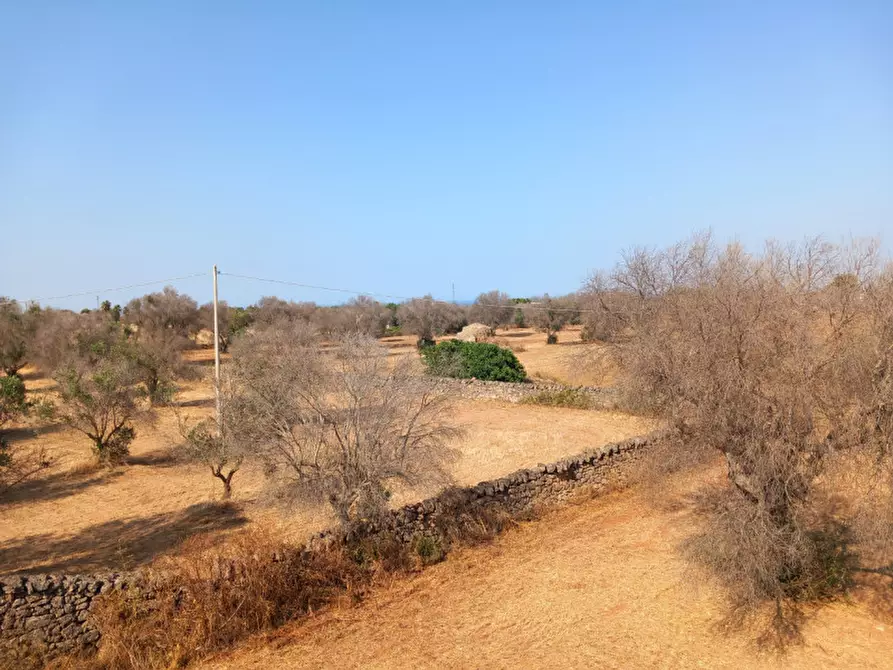 Immagine 42 di Rustico / casale in vendita  in C.da Malpasso a San Vito Dei Normanni