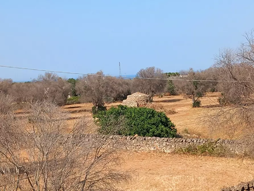 Immagine 43 di Rustico / casale in vendita  in C.da Malpasso a San Vito Dei Normanni