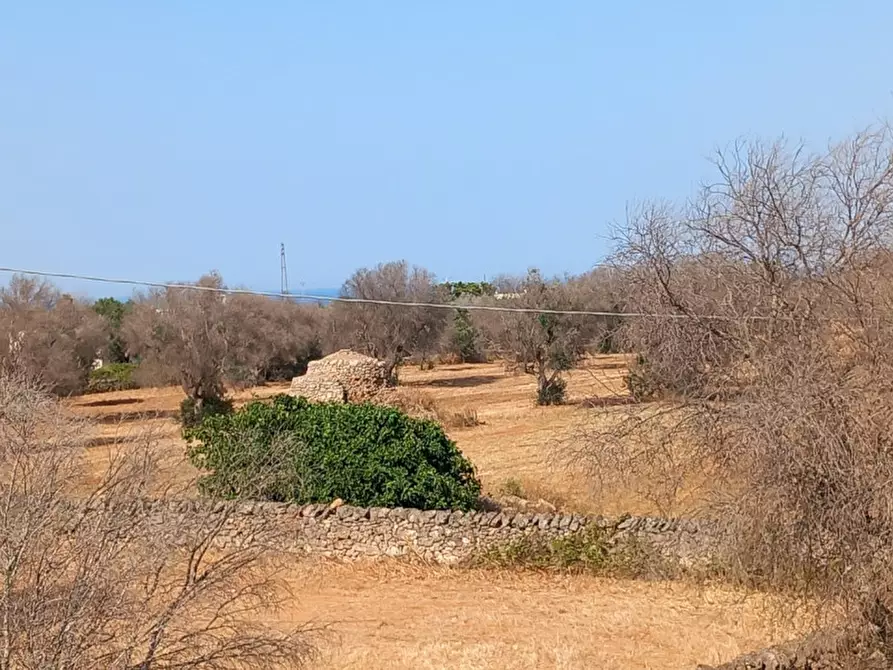 Immagine 44 di Rustico / casale in vendita  in C.da Malpasso a San Vito Dei Normanni