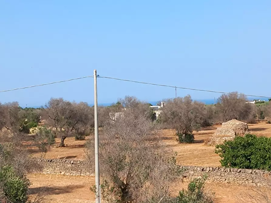 Immagine 45 di Rustico / casale in vendita  in C.da Malpasso a San Vito Dei Normanni