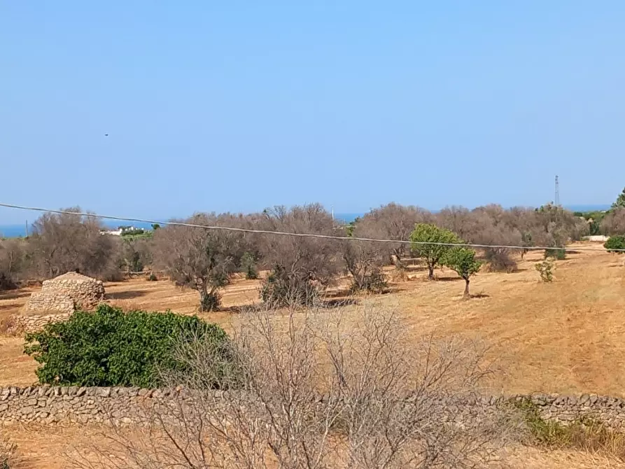 Immagine 46 di Rustico / casale in vendita  in C.da Malpasso a San Vito Dei Normanni