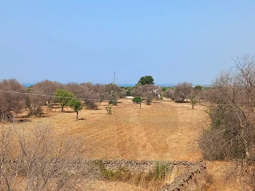 Immagine 47 di Rustico / casale in vendita  in C.da Malpasso a San Vito Dei Normanni