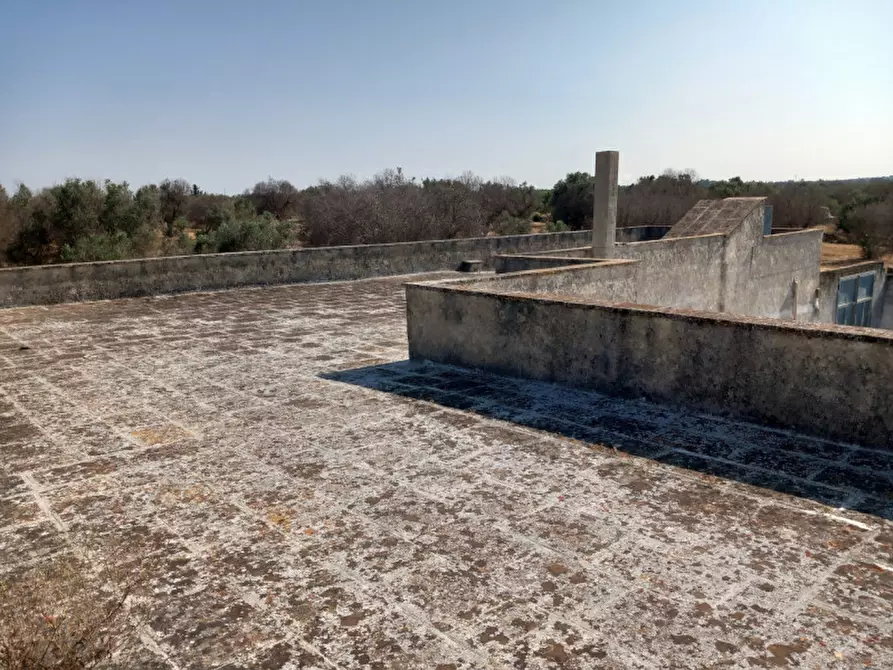 Immagine 48 di Rustico / casale in vendita  in C.da Malpasso a San Vito Dei Normanni