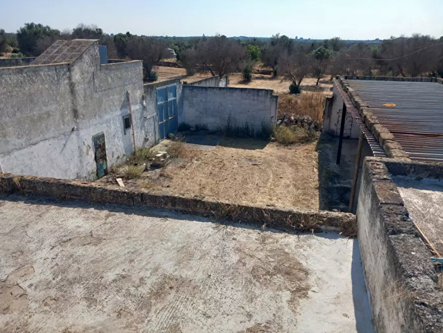 Immagine 49 di Rustico / casale in vendita  in C.da Malpasso a San Vito Dei Normanni