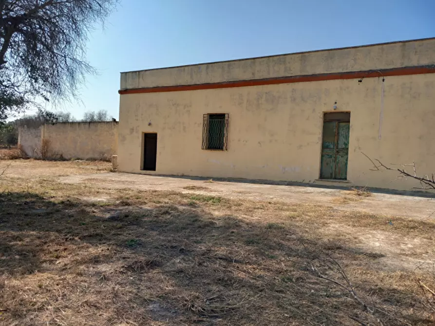 Immagine 57 di Rustico / casale in vendita  in C.da Malpasso a San Vito Dei Normanni