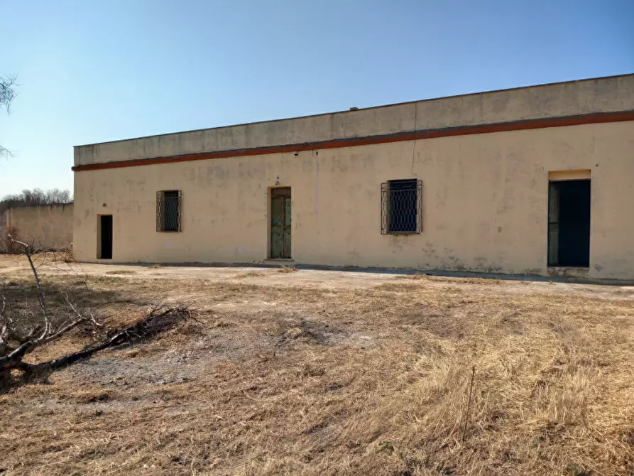 Immagine 58 di Rustico / casale in vendita  in C.da Malpasso a San Vito Dei Normanni